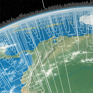 Multiple Vcf Files Issue 30 Edgardomortiz Vcf2phylip Github - Light Art Collection - Retina Quality