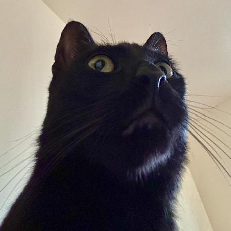 Github Cywinski Guide - Classic HD Space Pictures | Free Download