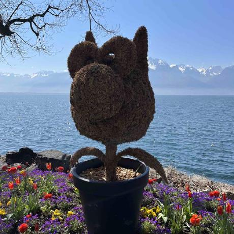 Chenyu Psy Chenyu Li Github