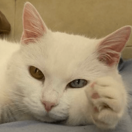 Healthyw Cristian Gutierrez Github - Mountain Pictures - Stunning High Resolution Collection