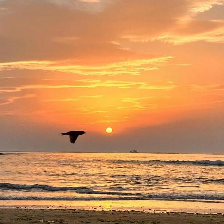 Github Stardust Lf Extended Aggregation Toolkit An Extended Plugin - Gradient Wallpaper Collection - High Resolution Quality