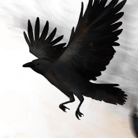 Andriy Panchiy Andriy Panchiy Github