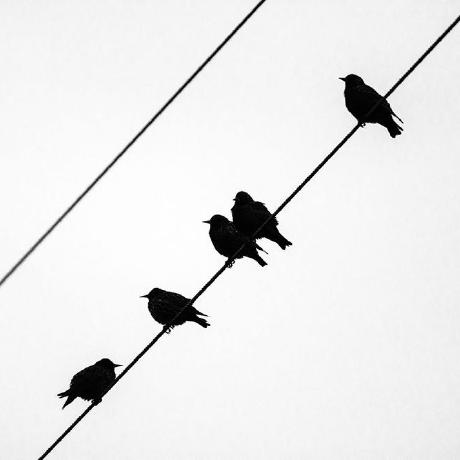 Michal Jakub Szymanski Github - Elegant Gradient Art - 4K