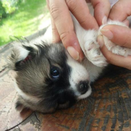 Sergio Byun Sergio Byun Github - High Resolution Nature Patterns for Desktop