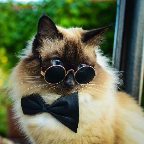 Kamillacrozara Kamilla Github - City Picture Collection - 4K Quality