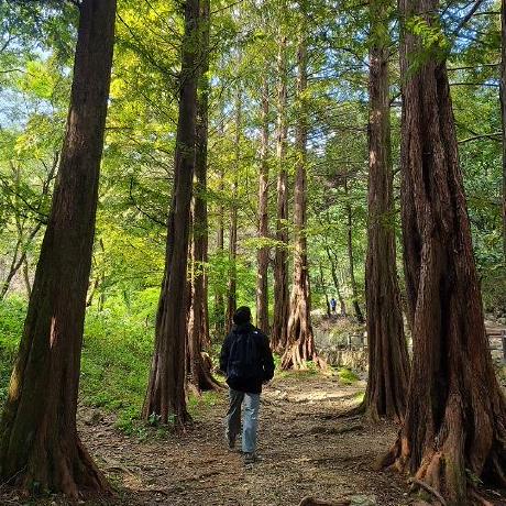 Github Hhss2259 Kpopgeneration - Best Mountain Textures in High Resolution