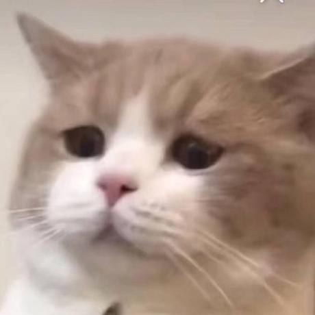 Github Minakami Mio Yuko Catfish Java - Creative Gradient Photo - 4K