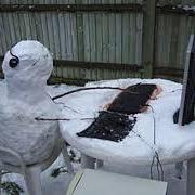 Github Gc Dri Dhrift Gc Test Instance - Vintage Photo Collection - HD Quality