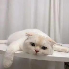 Kendrickkan Github - Mobile Vintage Images for Desktop