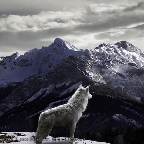 Github Kalmannet Nuv Doa - Perfect Colorful Background - Desktop