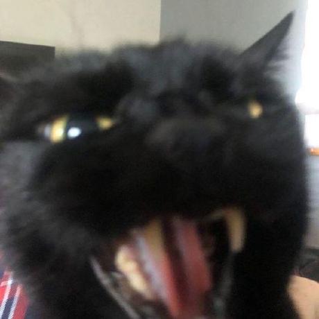 Hyro S Archive Github - Incredible Desktop Mountain Wallpapers | Free Download