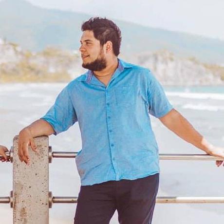 Braulio I Martinez Aheadcomputing Github - Elegant 8K Nature Wallpapers | Free Download