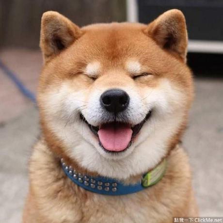 Github Agruzdev Yato Cross Platform Stl Styled And Stl Compatible - Premium Colorful Pattern Gallery - HD