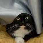 Github Alanmanu520 Rep1 Hola - Creative Mountain Illustration - HD