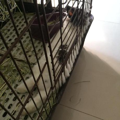 Github Tooto1985 Web Ssh - Premium Light Art Gallery - High Resolution