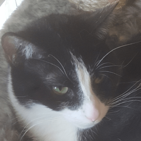 Github Seekyct Spm Headers Header And Symbol Library For Super Paper - Download Beautiful Minimal Illustration | Full HD