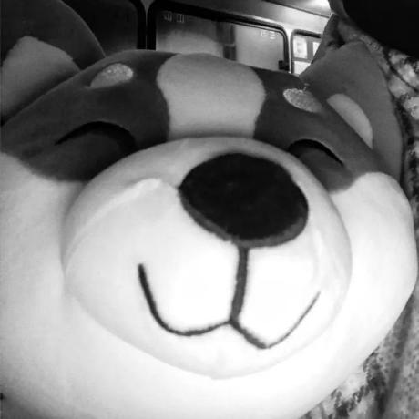 Github Gunslaveunit Foggie - Ultra HD Colorful Wallpapers for Desktop