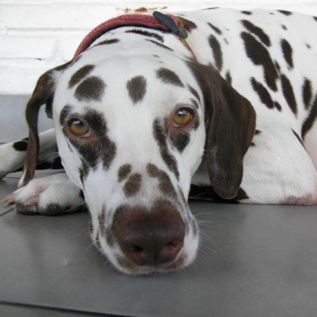 Kys Nkmr Github - Premium Desktop Light Textures | Free Download