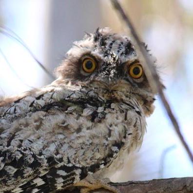 Jarred Github Topics Github - Download Modern Sunset Pattern | Ultra HD