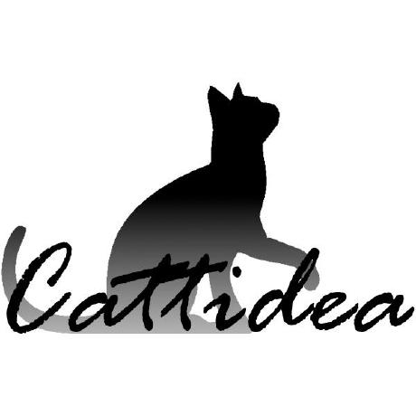Github Cattidea Next Generation Paddle Docs - Classic Landscape Illustration - Desktop