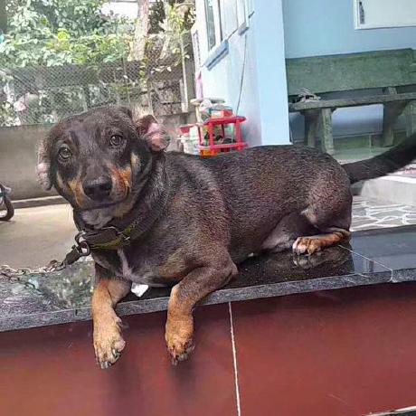 Github Hisus2000 Pytorch Demo Master - Landscape Backgrounds - Perfect 8K Collection