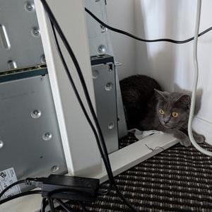 Leannejdong Leanne J Dong Github - High Resolution Geometric Textures for Desktop