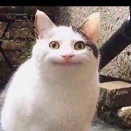 Github Donutdev Builder Gedit Clone - Artistic Full HD Colorful Pictures | Free Download