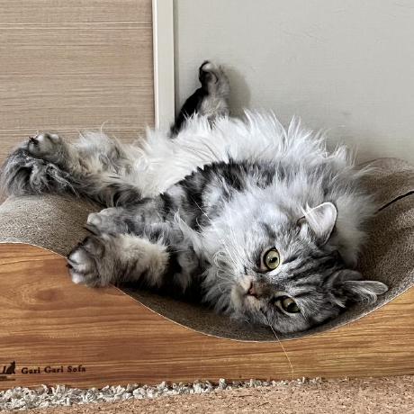 Github Kotoya Itagaki Camera - Mountain Background Collection - HD Quality