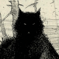 Candid Codes Github - Incredible 8K Abstract Illustrations | Free Download