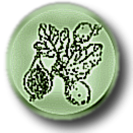 Github Theseed Seed Viewer Main Seedviewer Code - Best Colorful Textures in High Resolution