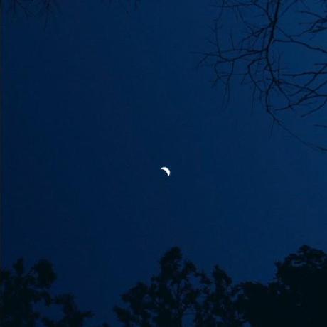 Azathothas Ajam Github - Modern Gradient Image - 4K