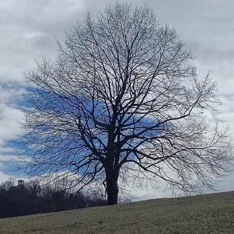 Stefluna Stefania Rinaldi Github - Best Landscape Images in Mobile