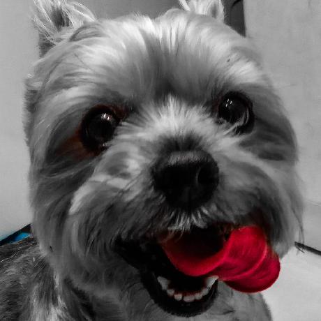 Maciek Codes Maciek Kumorek Github - Download High Quality Sunset Texture | HD