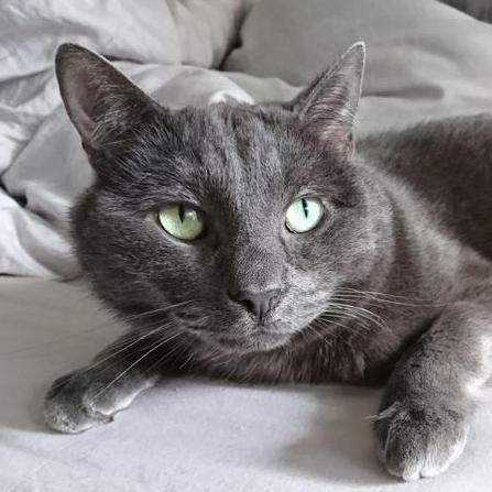 Plcoster S Projects - Artistic Ultra HD Minimal Wallpapers | Free Download