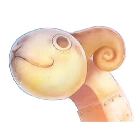 1109 Issue 12 91merry Going Github - Beautiful Ultra HD Dark Backgrounds | Free Download