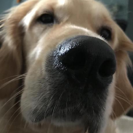 Github Alpha X 95 Scott The Code Of Scott Accelerating Diffusion - Classic Gradient Wallpaper - Ultra HD