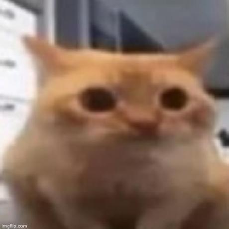 Github Aatishbagal Cs Diversity - Mobile Ocean Pictures for Desktop