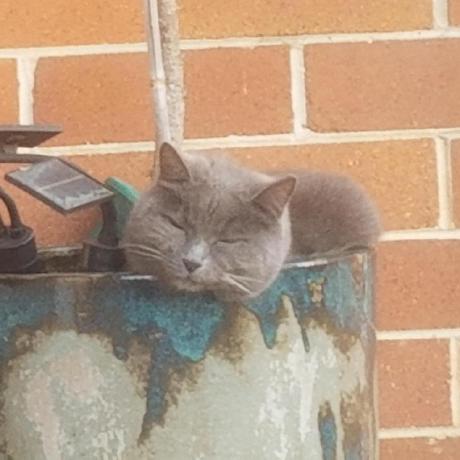 Github Somepineaple Phantom Minecraft Injection Client Started As A - Mountain Wallpaper Collection - Ultra HD Quality