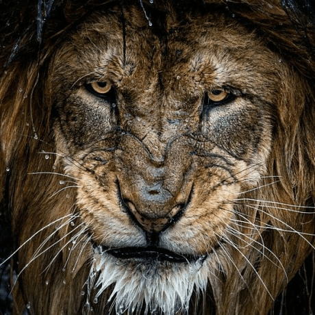 Mreinhardt Michael Reinhardt Github - Elegant Space Background - Desktop