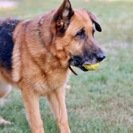 Lkwinta Ukasz Kwinta Github - Stunning Full HD Space Pictures | Free Download