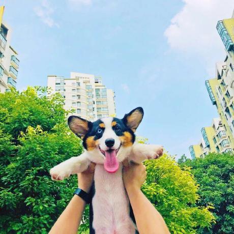 Small Ek Github - Best Colorful Images in Full HD