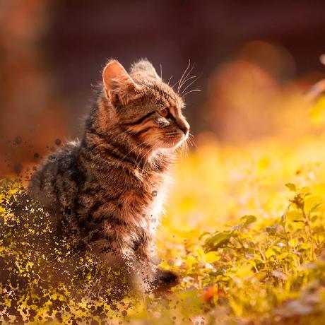 Baskerville Bastien Dejean Github - High Quality Nature Texture - Retina