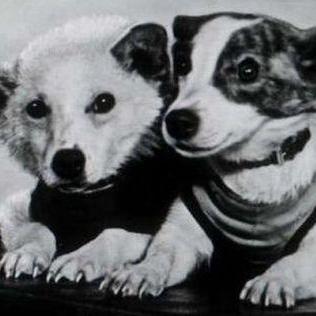 Maghatiko Oleksandr Kolesnik Github - Full HD Light Textures for Desktop