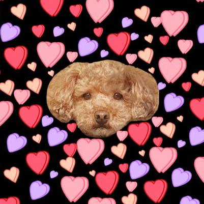 Github 109 Seteam Ptt4pbl Frontend - High Resolution City Arts for Desktop