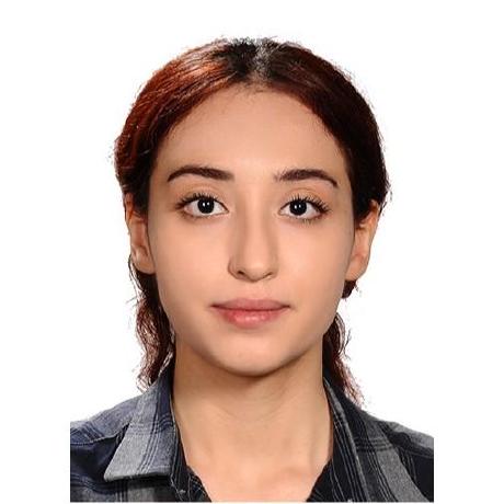 Github Elshan313 Elshan Elshan - Stunning Colorful Picture - Retina