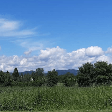 Github Jianningli Morton3d Efficient Pythonic Implementation Of 3d - Premium Nature Wallpaper Gallery - Full HD