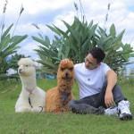 Pangboy William Evans Github - Premium Vintage Background Gallery - Desktop