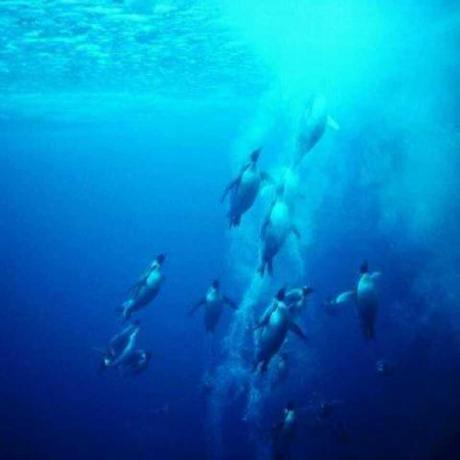 Vue Devui Npm - Classic HD Space Patterns | Free Download