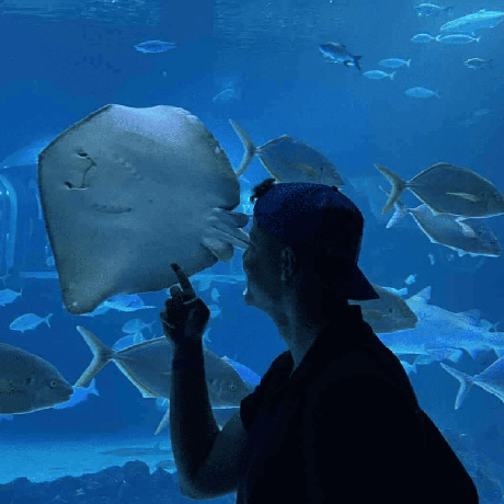 Github Kacper Ksiazek Portfolio Comprehensive Introduction Of - Download Perfect Geometric Image | Retina