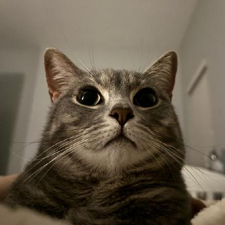 Ruxin123 Xiang Ruxin Github - Download Amazing Colorful Art | 4K